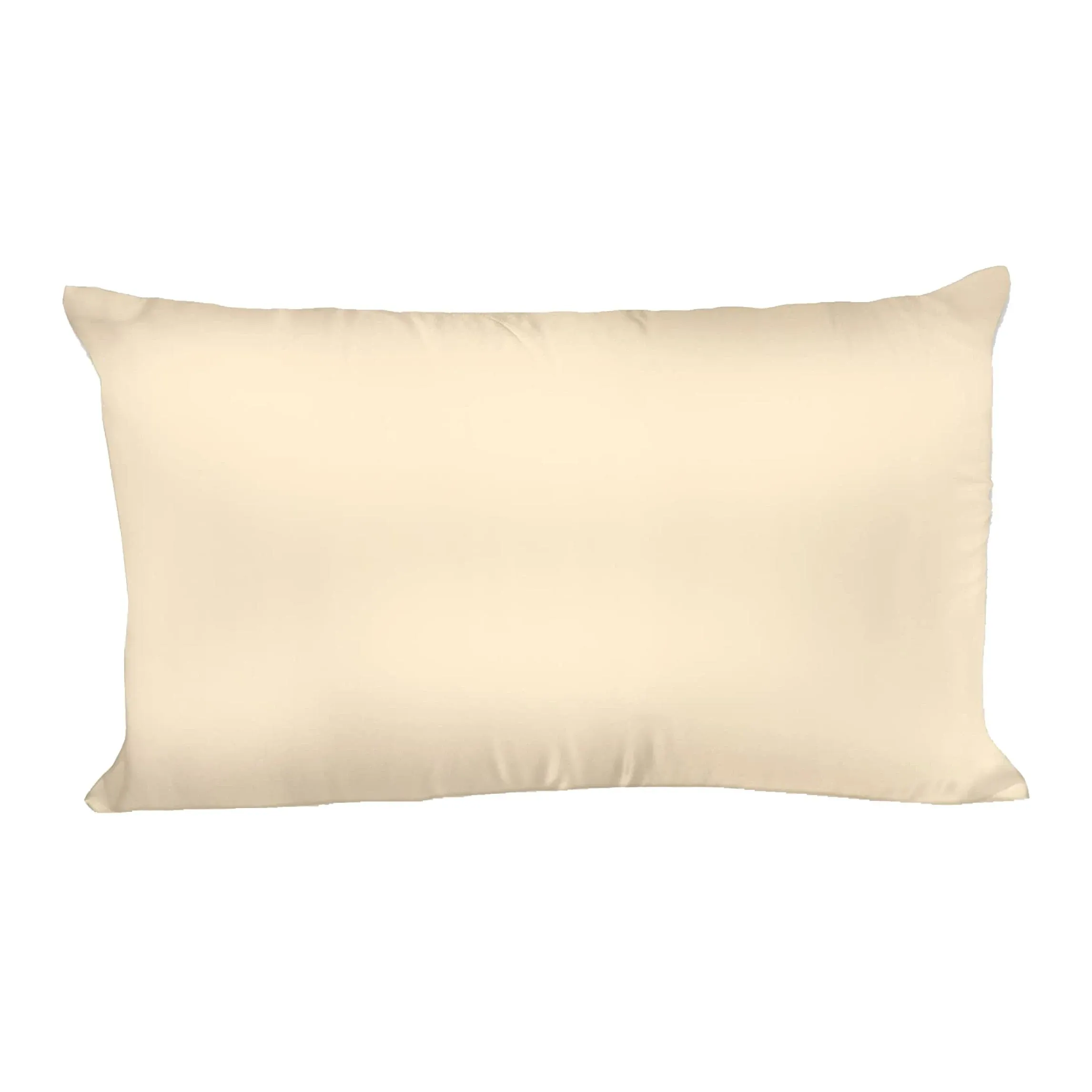 Spasilk Satin Pillowcase, Queen, Gold