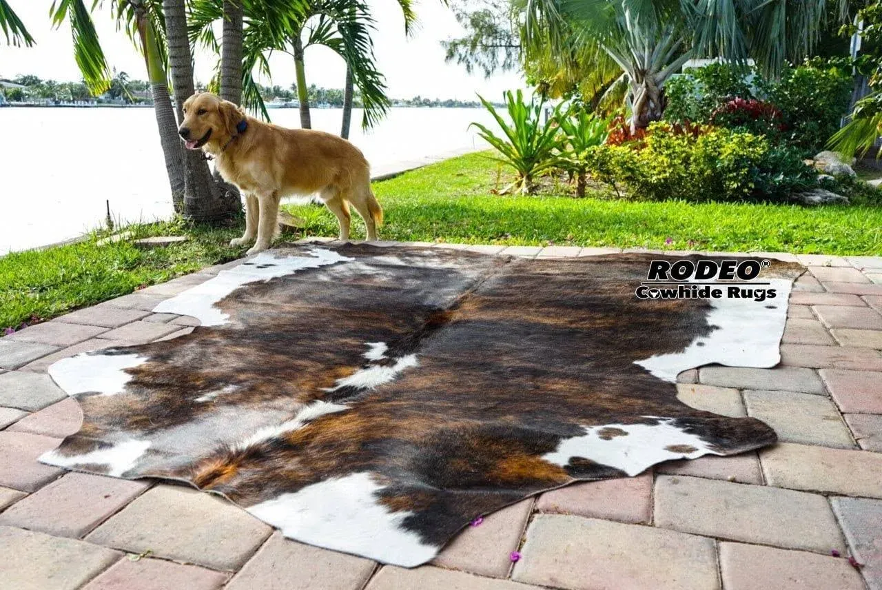 rodeo Cowhide Rug Large Size 5x7-6x7 ft Genuine Cowhide Rug Western Room doco...