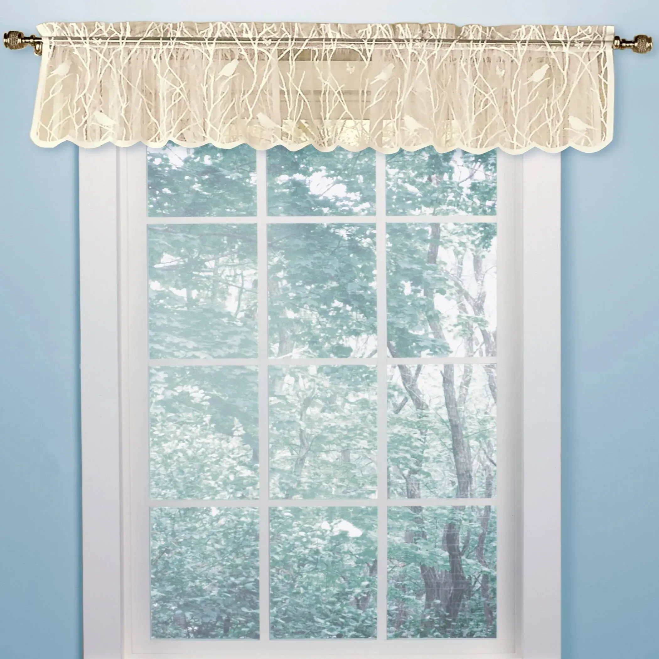 Collections Etc Lace Window Valance 56-inch x 12-inch with Songbirds & Branches, Ivory