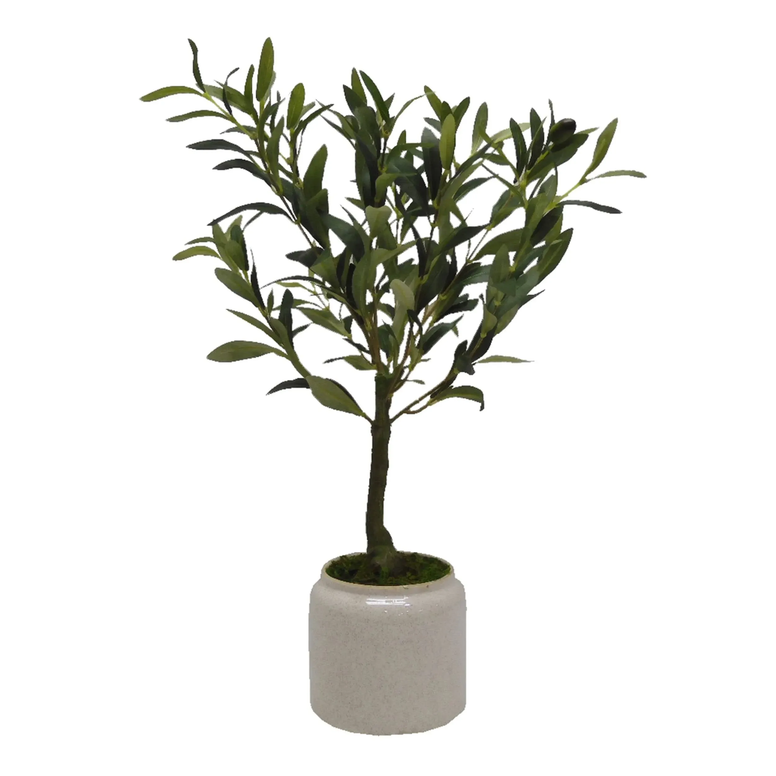 Elements Olive Tree in Aged Teracotta Pot for Bathroom Farmhouse Faux Greenery Tabletop Centerpiece Mantel Office Desk Kitchen Décor, 21 inch