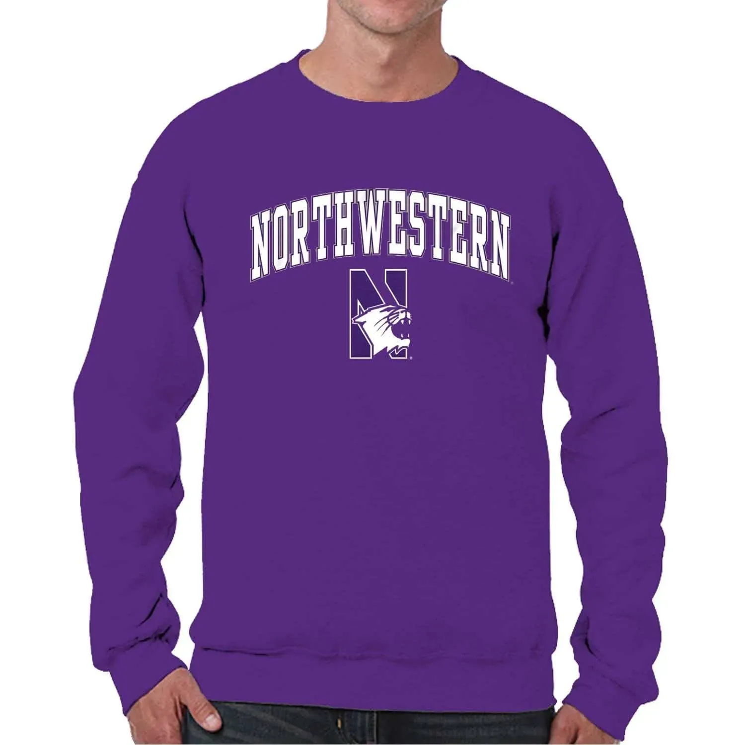 Campus Colors adult Arch & Logo Soft Style Gameday Crewneck Sweatshirt ...