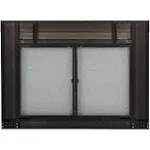 Pleasant Hearth Alpine Collection Fireplace Glass Door