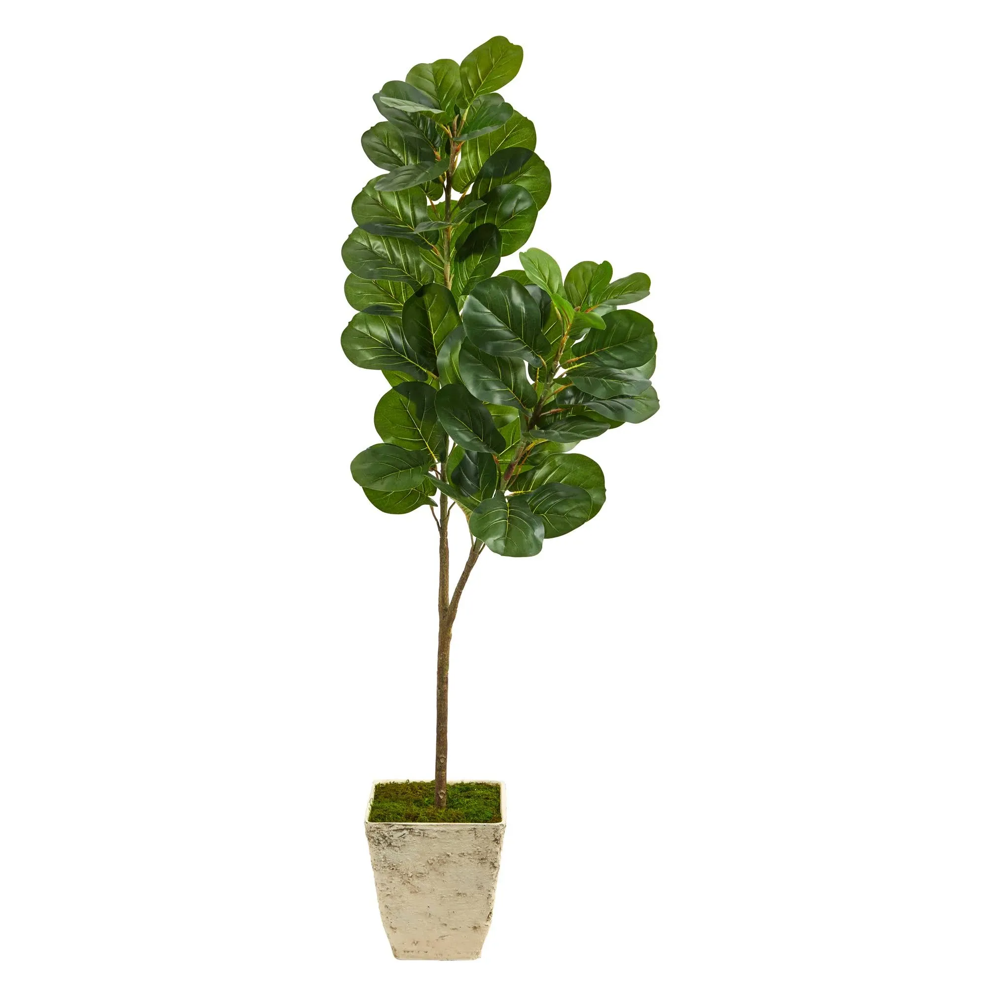 5.5'Fiddle leaf Fig Artificial Tree in Country White Planter T2500