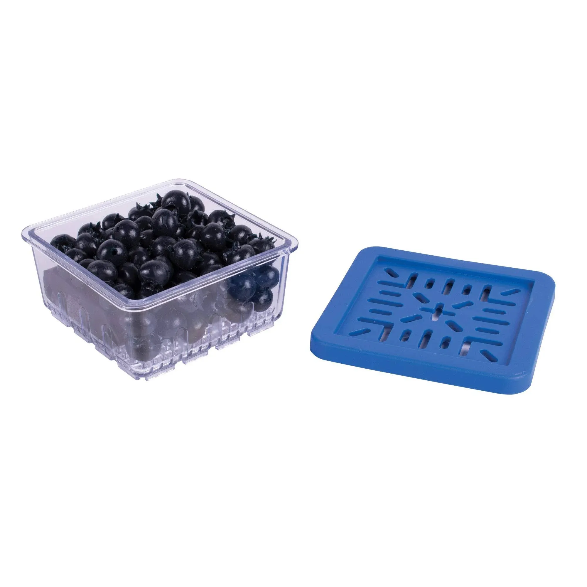 HIC BerryFresh Produce Box Half Pint Blue Lid