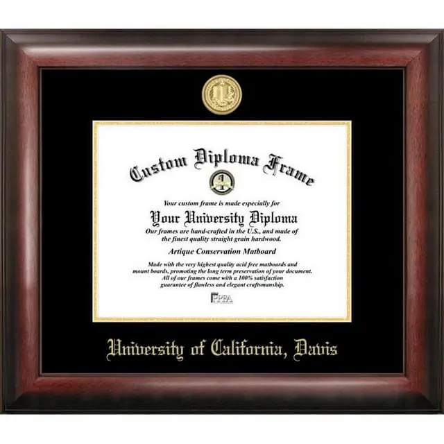 Campus Images NCAA Gold Embossed Diploma Frame