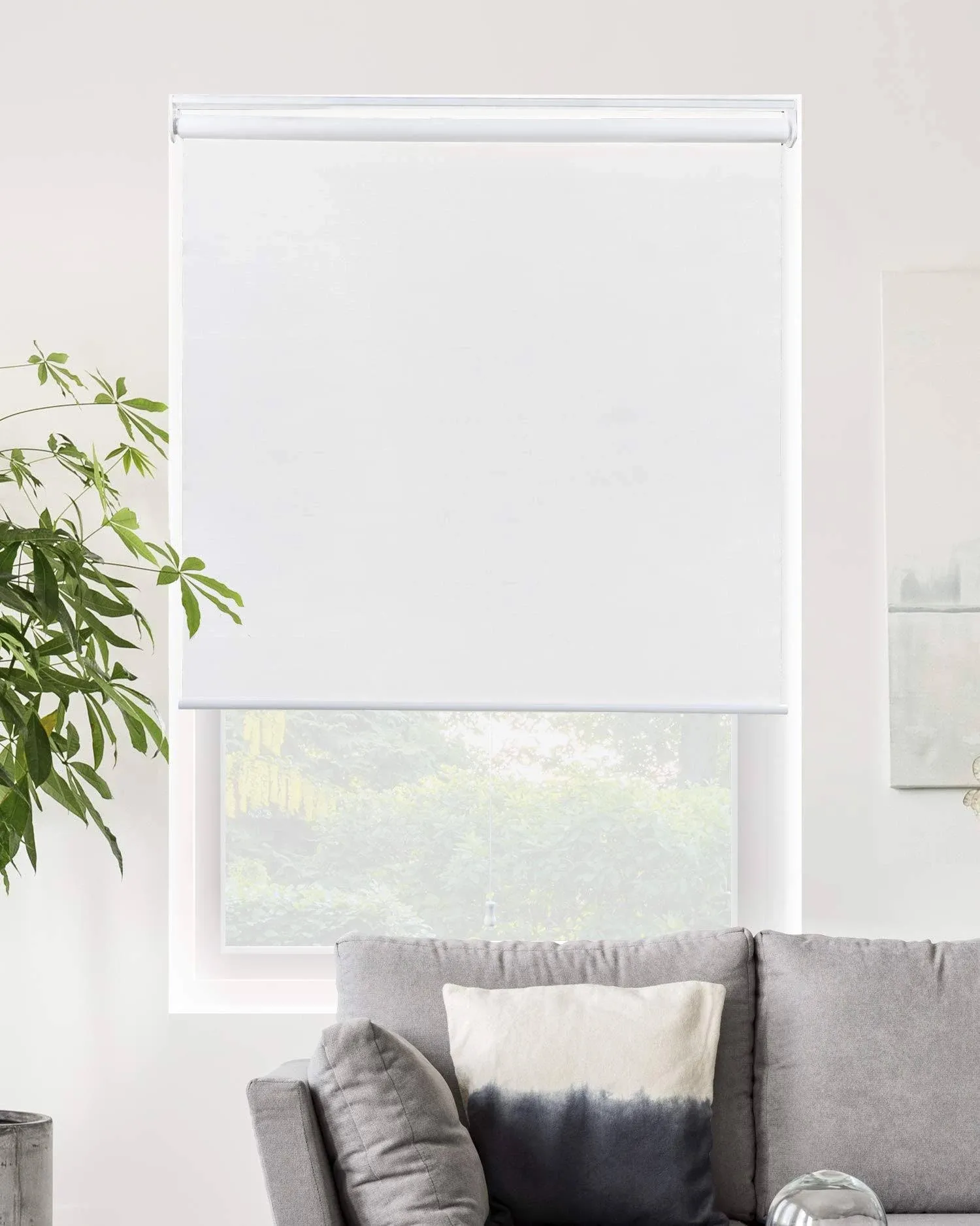 Roller Window Shades Blackout Cordless Fabric Window Shades for Home