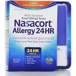 Nasacort Allergy 24 Hour Spray - 120 count