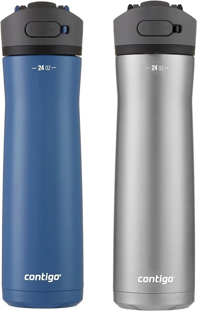 Contigo Ashland Chill 2.0 Stainless Steel Water Bottle with Leak-Proof Lid and Angled Straw, Vaccum-Insulated Water Bottle with Handled Lid, 24oz Blue Poppy