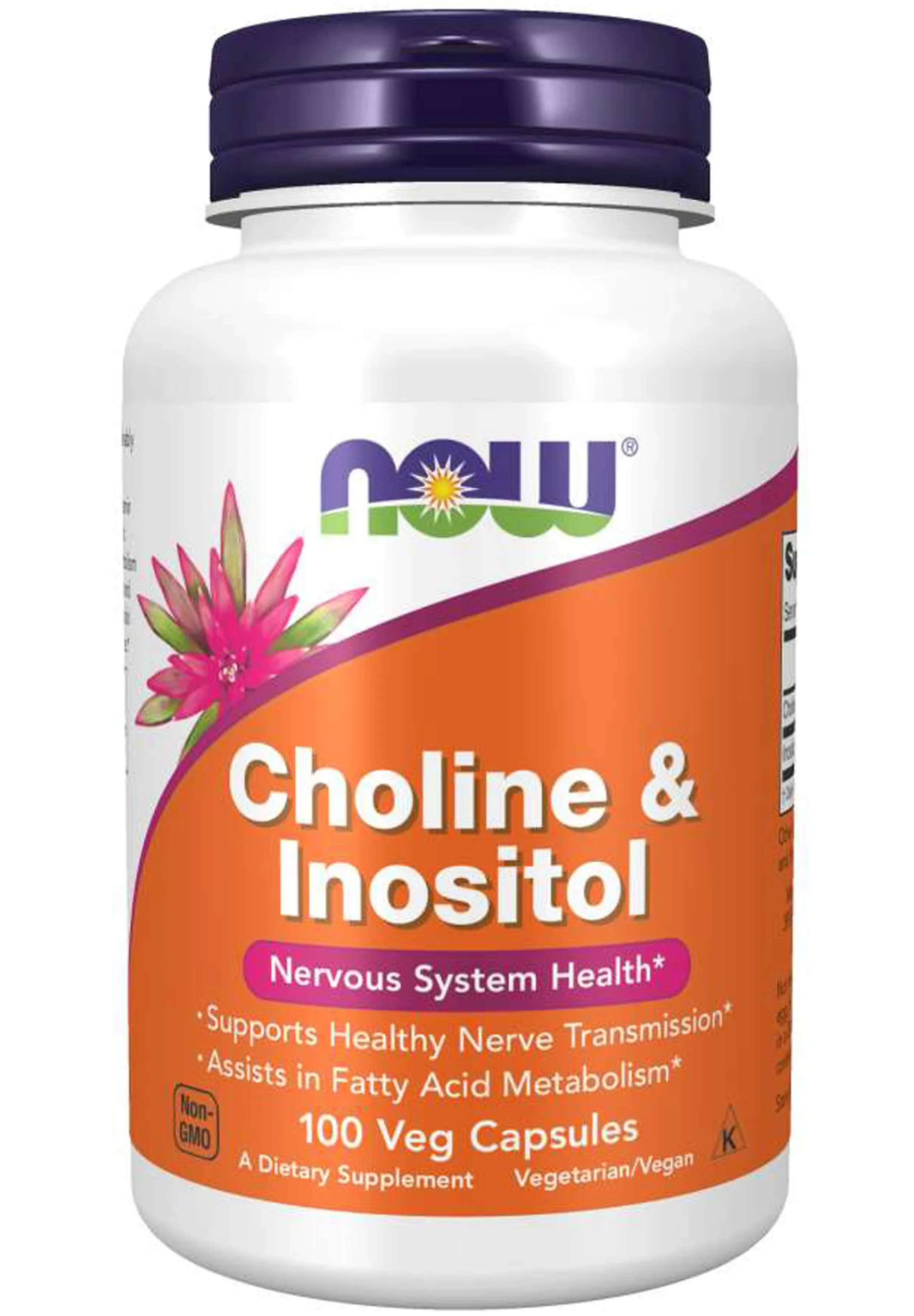 Now Choline & Inositol 100 Capsules