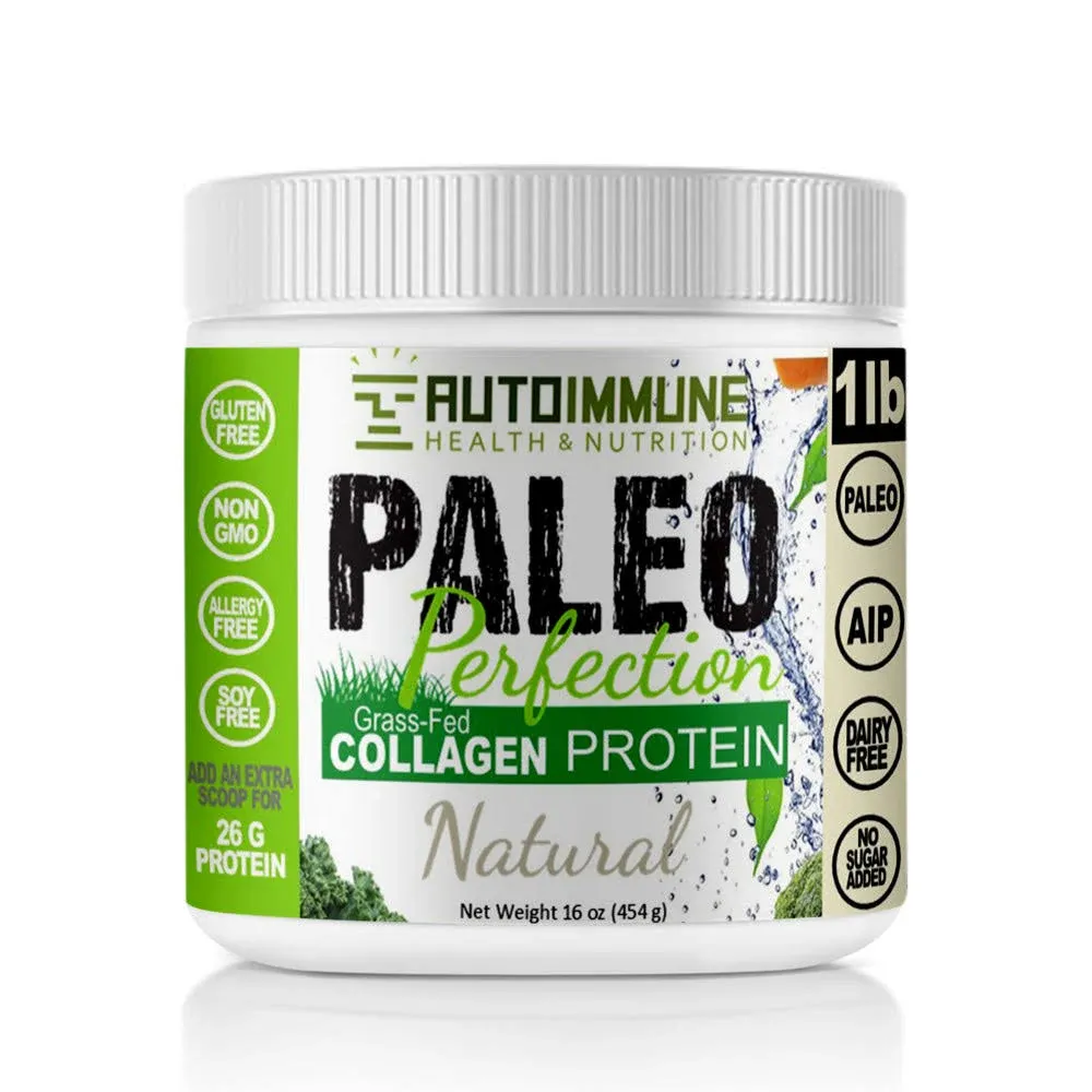 Auto Immune Health & Nutrition Paleo Perfection Double Chocolate Protein Powder