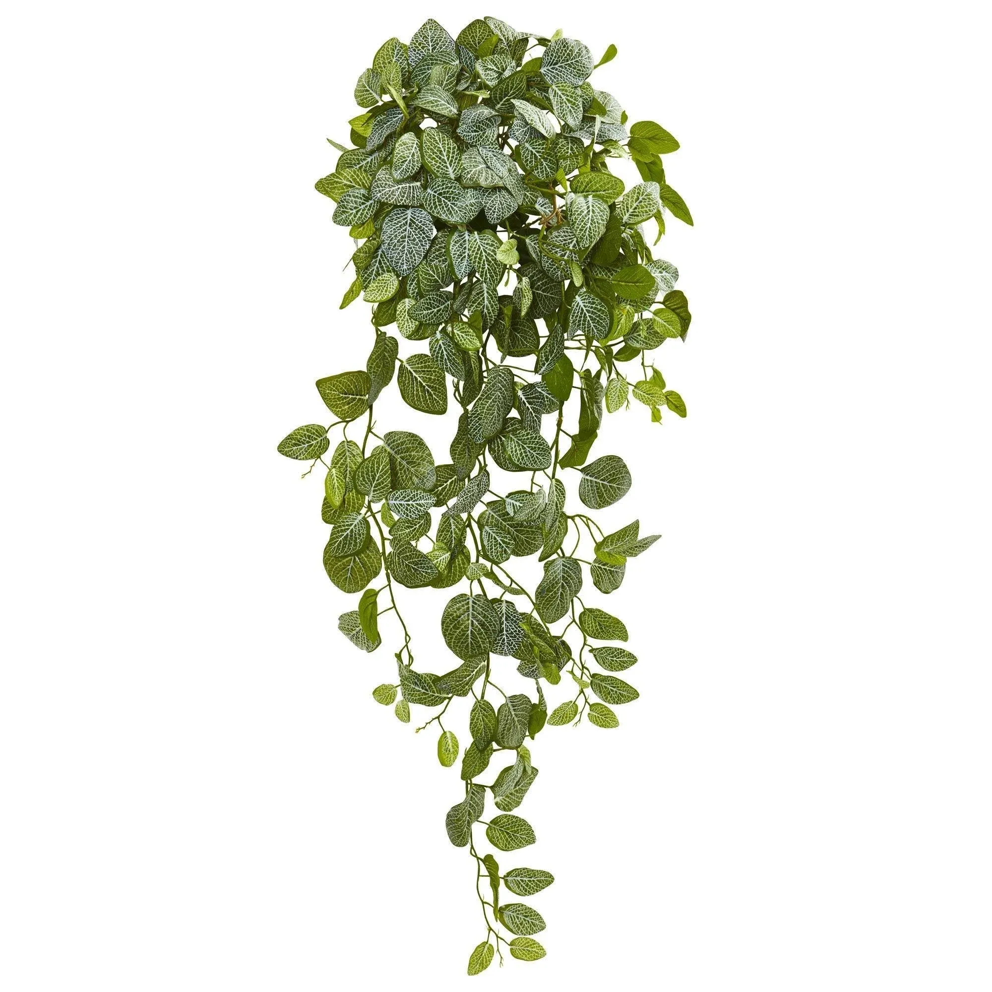 36" Fittonia Hanging Bush Artificial Plant, Set of 2, Real Touch