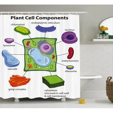 Educational Shower Curtain Cartoon Science Print for Bathroom