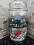 Yankee Candle ‘Sparkling Balsam’ 🌲❄️ candle 🕯️